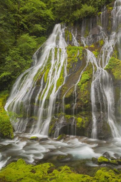 Washington Spring Panther Creek Waterfall